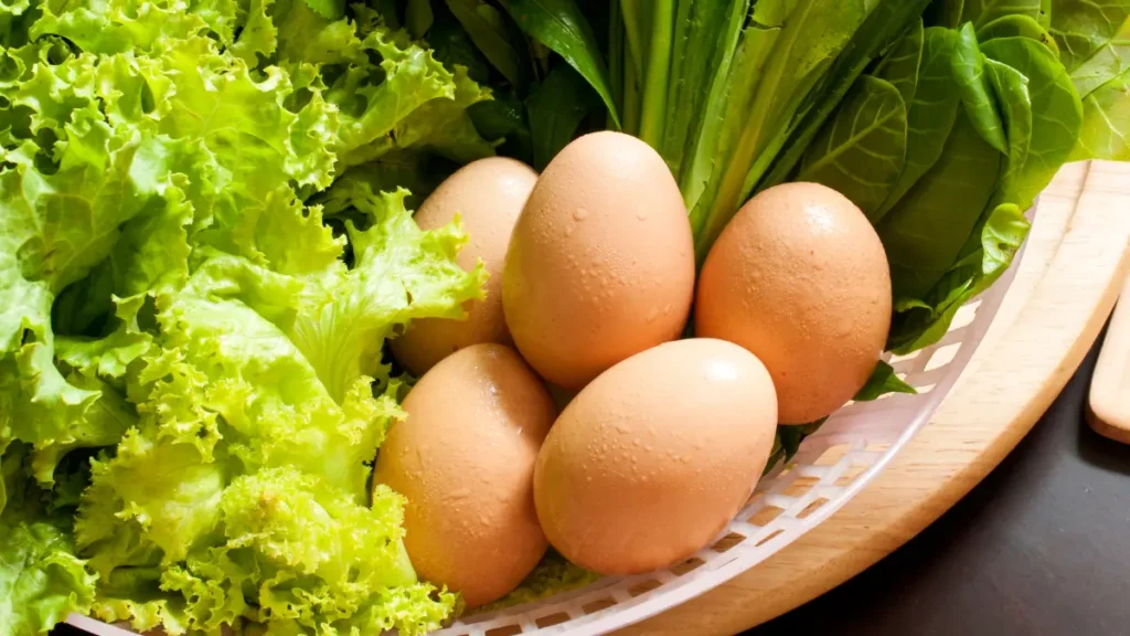 Ser vegetariana.